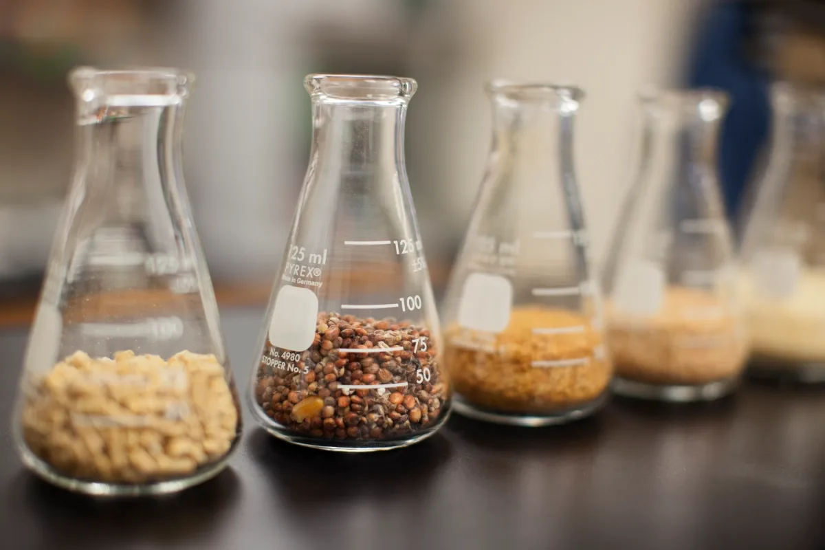 What are Enzymes?