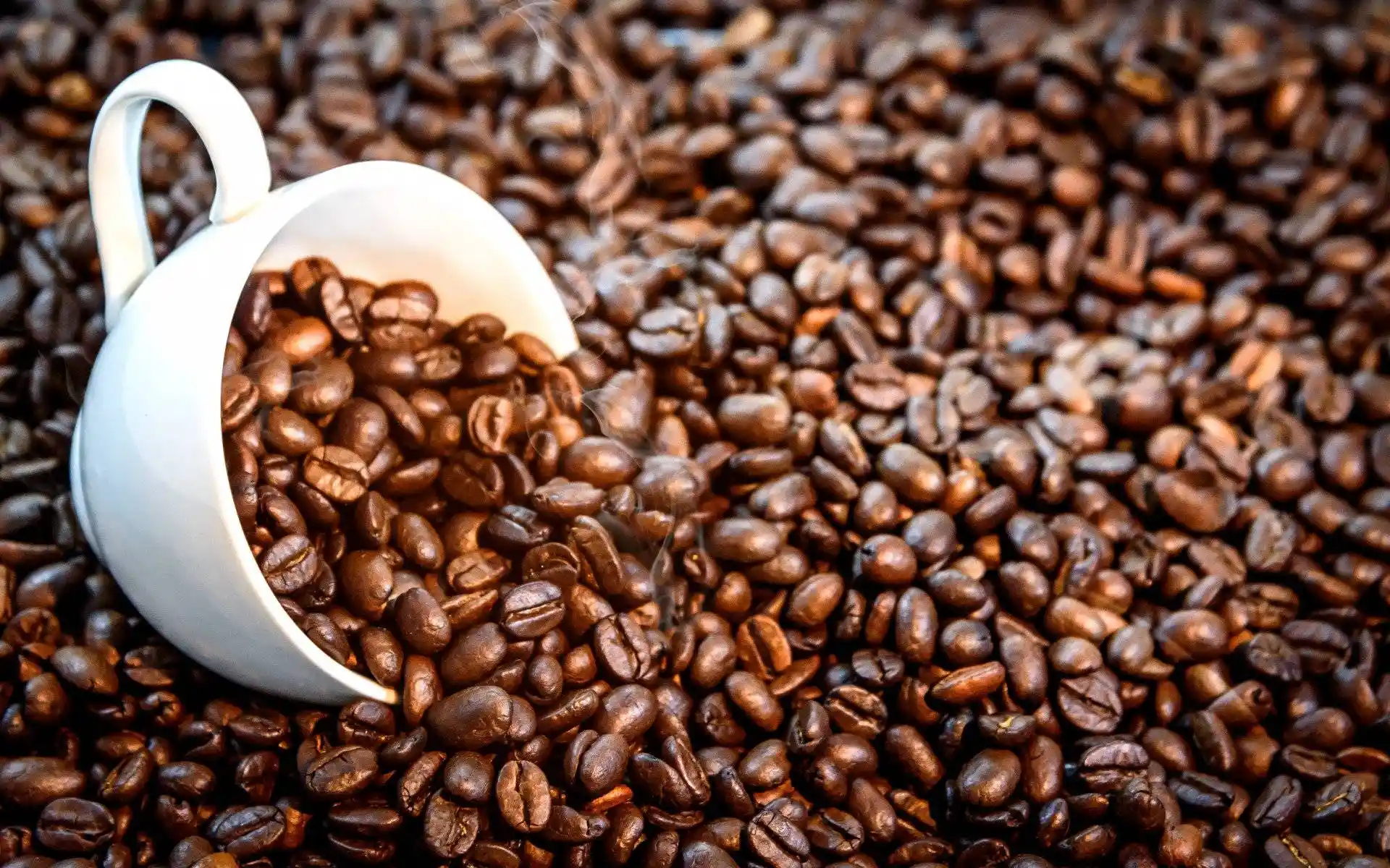 What is Coffee?