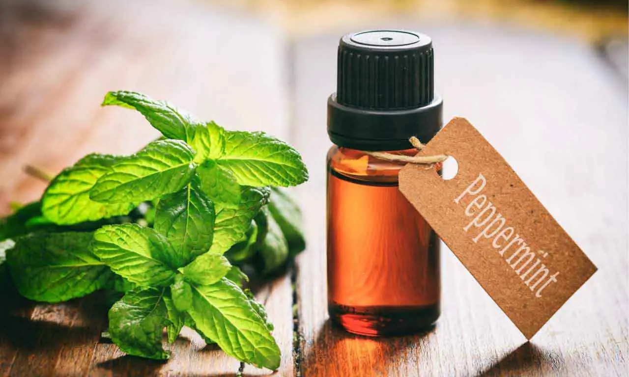 Peppermint oil