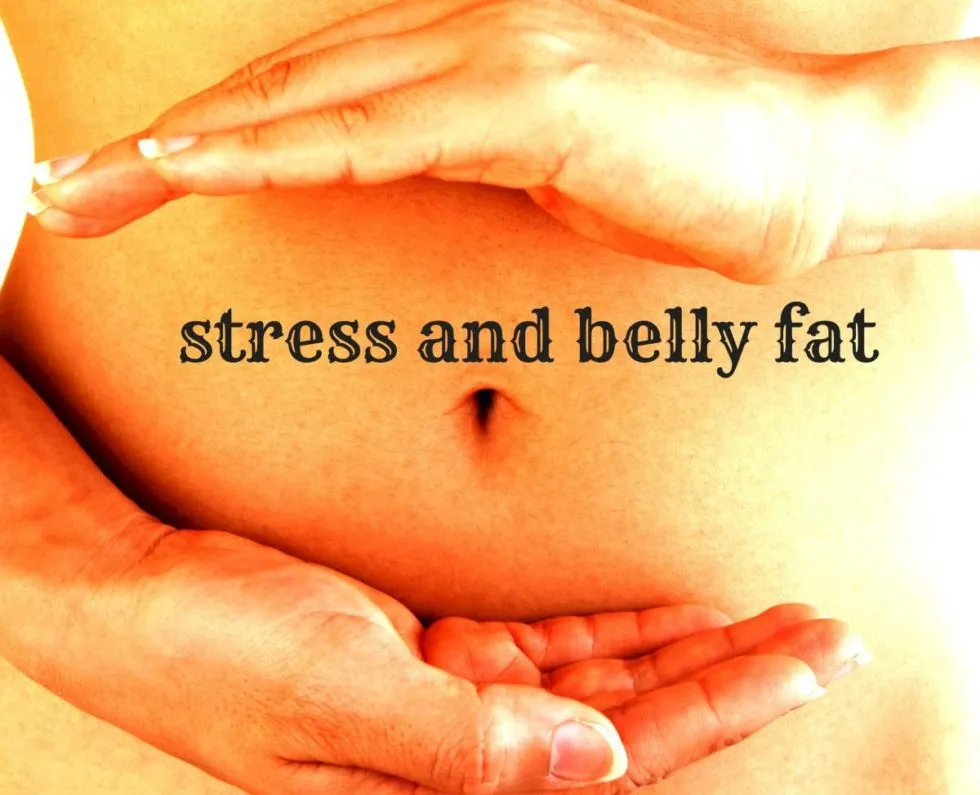 Stress, Cortisol, and Belly Fat: How Mindful Eating Can Help