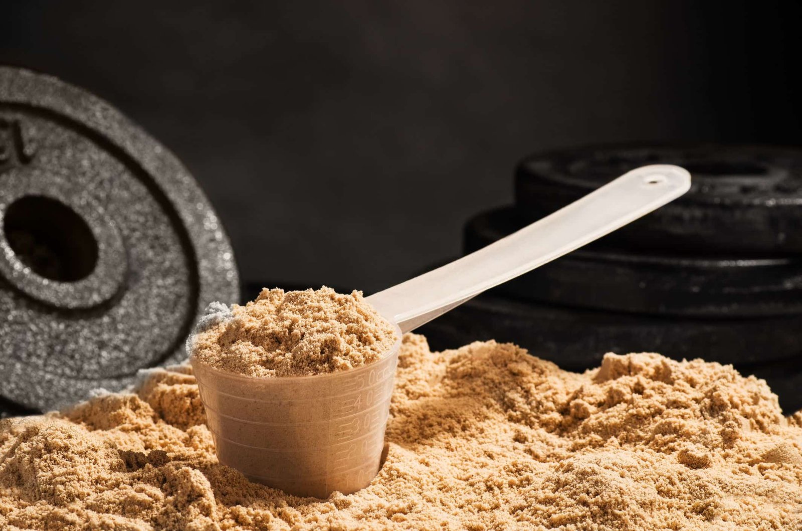 Protein Powder for Weight Gain The Ultimate Guide