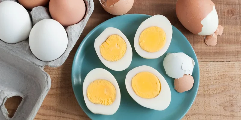 Egg Nutrition